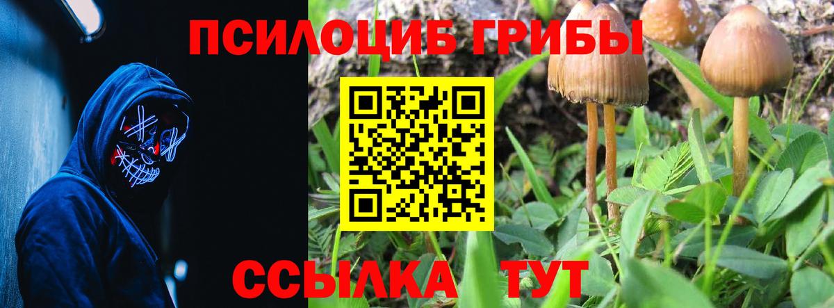 Можайск  Псилоцибиновые грибы мухоморы  Вход с VPN 